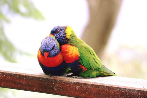 The Polish Place - Accommodation Nelson Bay 9