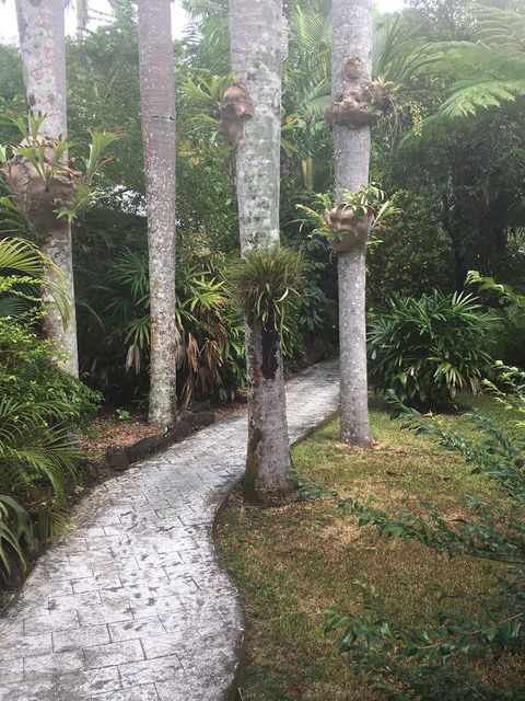 Eco Village Mission Beach - Accommodation Nelson Bay 6