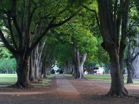 Comfort Inn Grammar View - Accommodation Nelson Bay 19