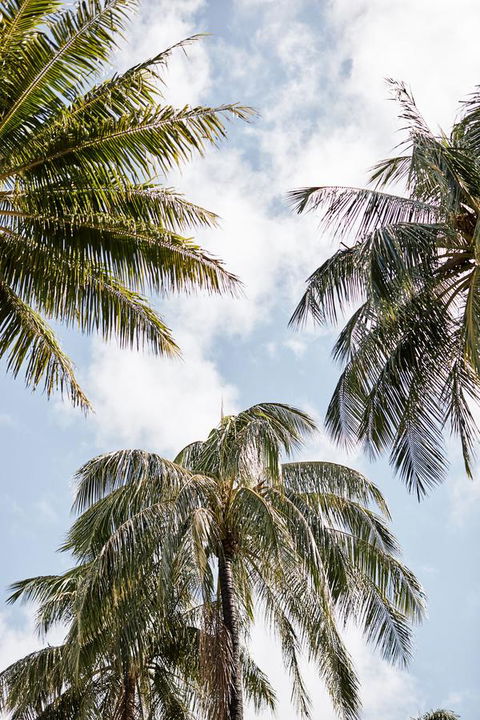 Novotel Cairns Oasis Resort - Accommodation Nelson Bay 9