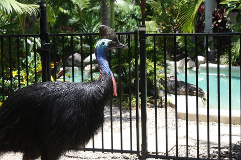 Boutique Bungalows - Accommodation Nelson Bay 17
