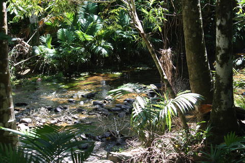 Boutique Bungalows - Accommodation Nelson Bay 18