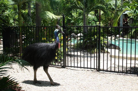 Boutique Bungalows - Accommodation Nelson Bay 15