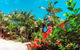 Boutique Bungalows - thumb 14