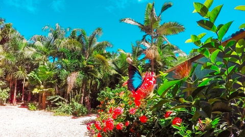 Boutique Bungalows - Accommodation Nelson Bay 14