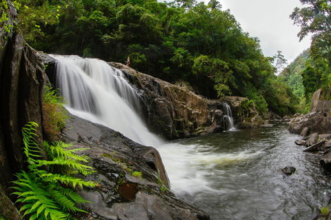 Coral Tree Inn - Accommodation Nelson Bay 40