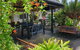 Cairns City Palms - thumb 29