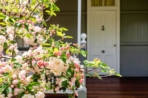 Apple Blossom Cottages - Accommodation Nelson Bay 2