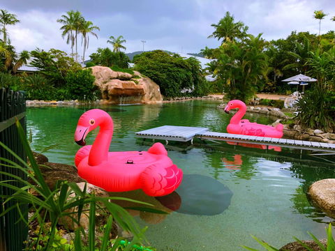 Cairns Colonial Club Resort - Accommodation Nelson Bay 6