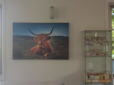 Highland House - Accommodation Nelson Bay 4