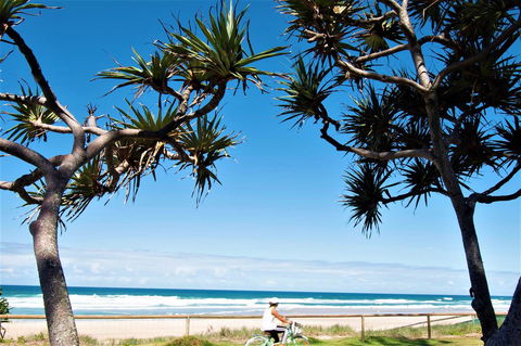 Grande Florida Beachside Resort - Accommodation Nelson Bay 34