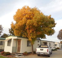 Wodonga Caravan  Cabin Park - Accommodation Nelson Bay