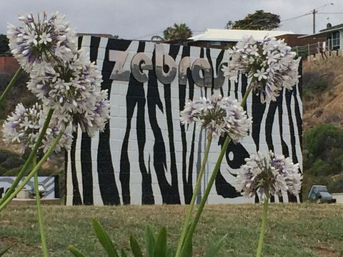 Zebras Guest House Geraldton - Nelsons Bay Accommodation 0