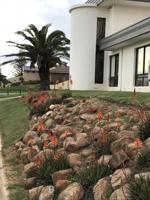 Zebras Guest House Geraldton - Nelsons Bay Accommodation 3