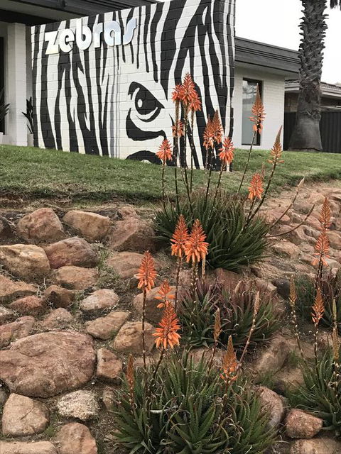 Zebras Guest House Geraldton - Nelsons Bay Accommodation 1