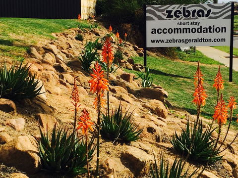 Zebras Guest House Geraldton - Nelsons Bay Accommodation 2