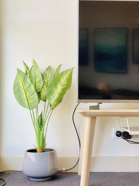 ZEN Homes On Collins - Accommodation Nelson Bay 3