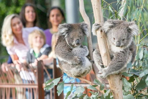 A 3BR Apt Next To Melbourne Zoo FREE Parking - Accommodation Nelson Bay 2