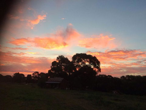 Abington Farm B & B - Accommodation Nelson Bay 3