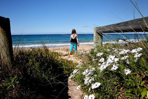 Absolute Beachfront Mollymook - Accommodation Nelson Bay 4
