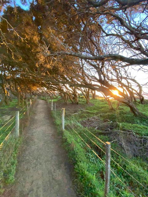 Anglesea Rivergums - Accommodation Nelson Bay 3