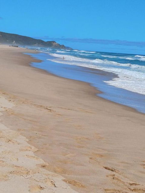 Anlyn Seaside Cabin - Accommodation Nelson Bay 2