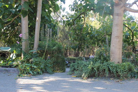 Avoca Park Equestrian Farmstay - Accommodation Nelson Bay 2