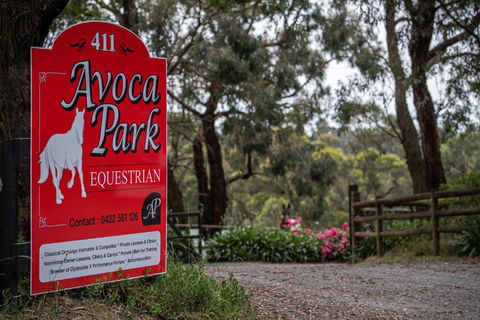 Avoca Park Equestrian Farmstay - Accommodation Nelson Bay 0