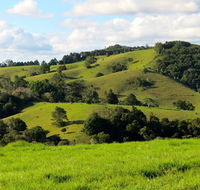 Maleny Springs Farm - Accommodation Nelson Bay
