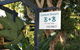 Coolum Dreams B&B - thumb 11