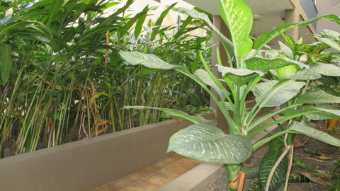 Edge Apartments Cairns - Accommodation Nelson Bay 39