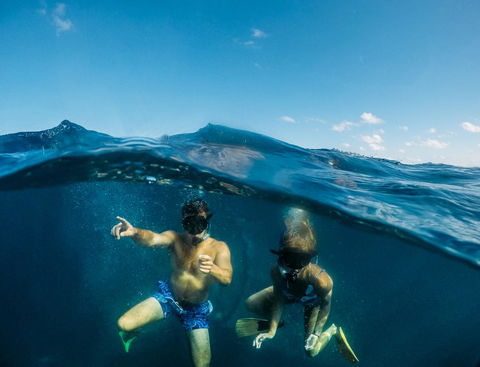 Manta Lodge YHA & Scuba Centre - Accommodation Nelson Bay 12