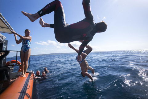 Manta Lodge YHA & Scuba Centre - Accommodation Nelson Bay 11