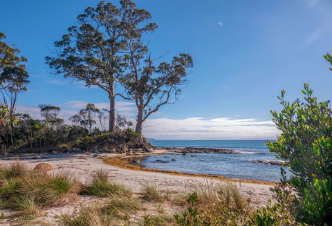 Adventure Bay Holiday Home - Accommodation Nelson Bay 12