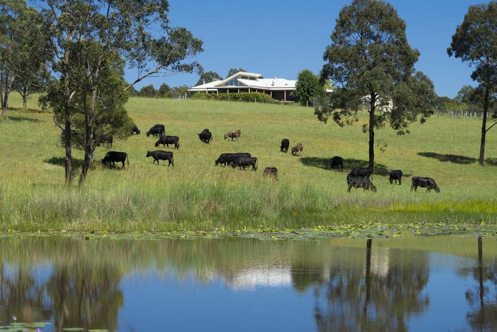Markwell NSW Accommodation Nelson Bay