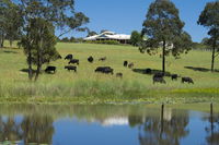 Book Nabiac Accommodation Vacations Accommodation Nelson Bay Accommodation Nelson Bay