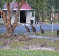 31 The Rocks - Accommodation Nelson Bay