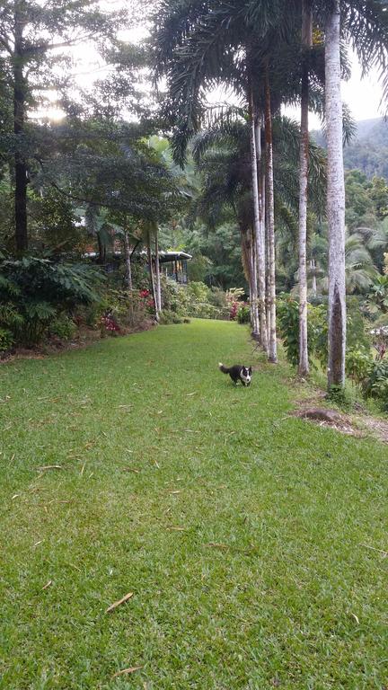 A Daintree Garden - Accommodation Nelson Bay 1