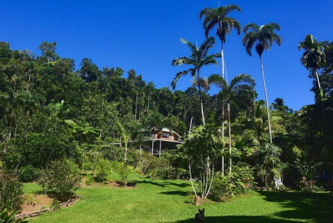 A Daintree Garden - Accommodation Nelson Bay 0