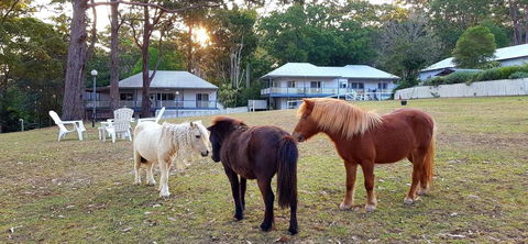 Aaronlee Retreat - Accommodation Nelson Bay 2