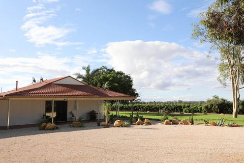 Dreamy Abode - Vineyard Retreat - Nelsons Bay Accommodation 0