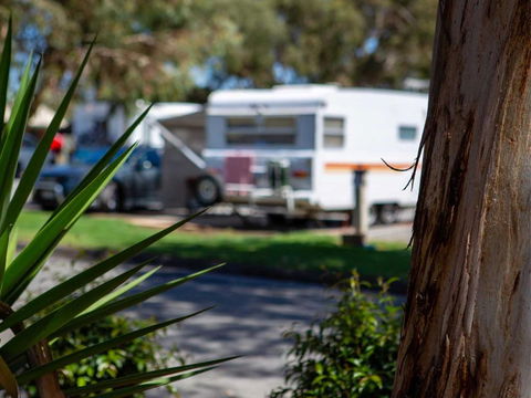 Echo Holiday Parks - Windsor Gardens - Accommodation Nelson Bay 4