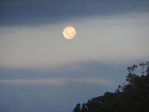 Eildon Parkview Motor Inn Room 7 - Nelson Bay Accommodation.com 3