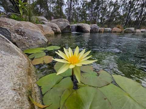 Eureka Station Camping Retreat - Accommodation Nelson Bay 4