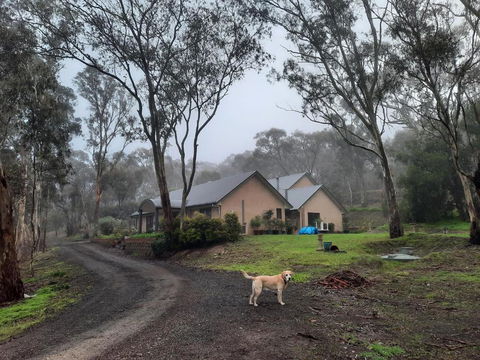 Frogmouth Hollow - Nelsons Bay Accommodation 0