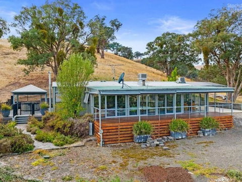 Golden Ash Grove Eco Farm - Nelsons Bay Accommodation 0