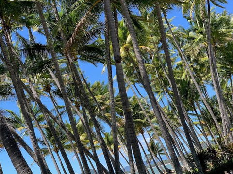 IMPORTANT MESSAGE This Property Is Not Currently Available For Holiday Letting - Accommodation Nelson Bay 1