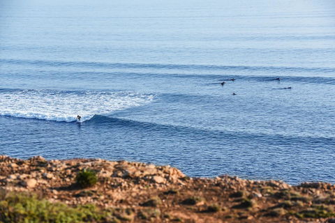 Aldinga Beach Experience - Accommodation Nelson Bay 3