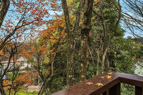 Allambee - Nelson Bay Accommodation.com 2