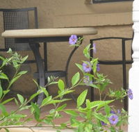 Amalie Cottage Waikerie - Accommodation Nelson Bay